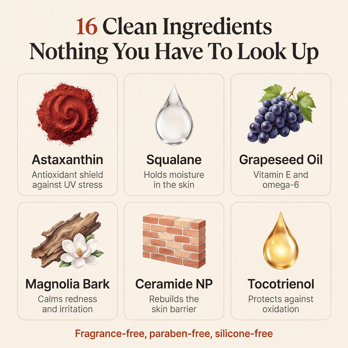 16 clean ingredients: astaxanthin, squalane, grapeseed oil, magnolia bark, ceramide NP, tocotrienol