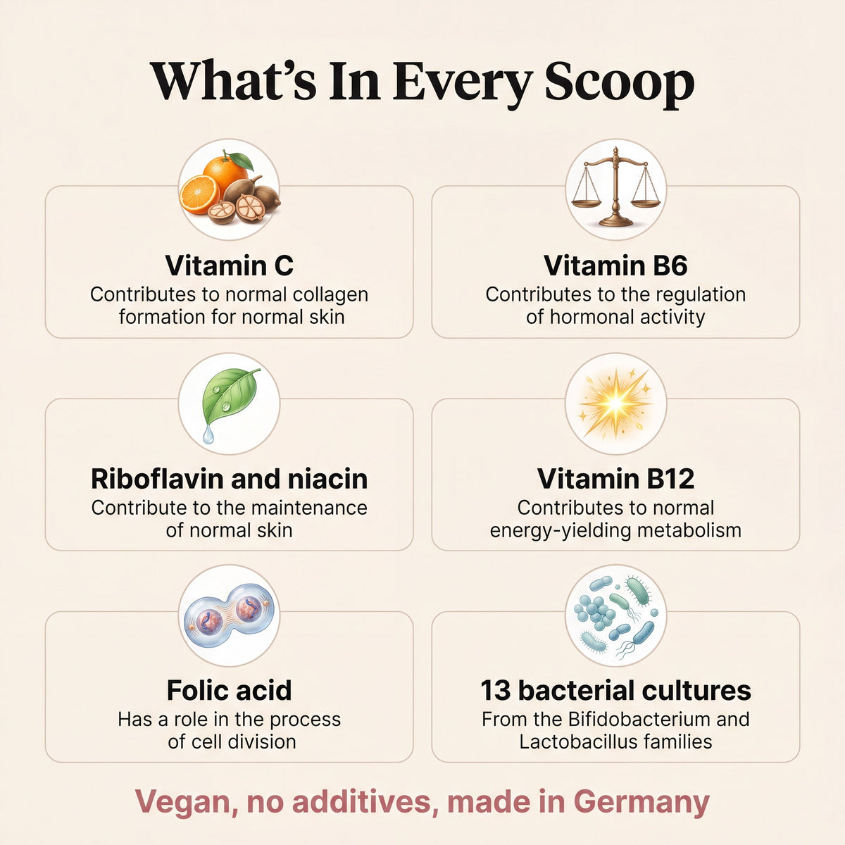 Inhaltsstoffe: Vitamin C, B6, Riboflavin und Niacin, B12, Folsäure und 13 bakterielle Kulturen